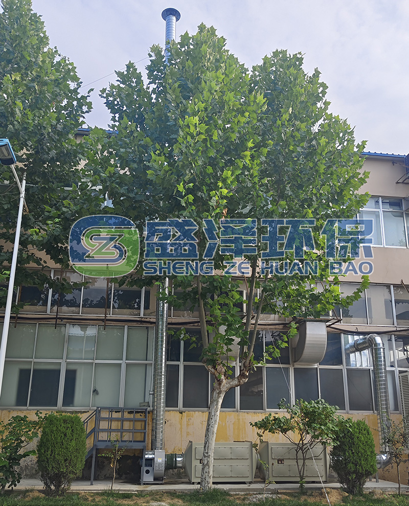 包裝行業(yè)大注塑車(chē)間廢氣治理